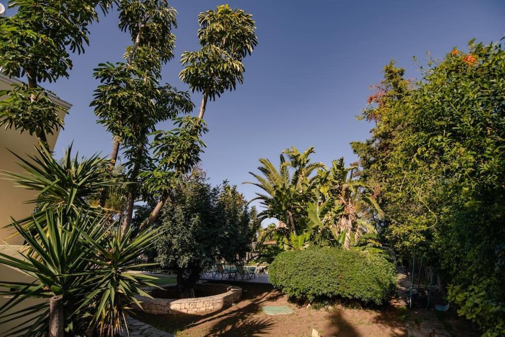 Villa Elmar Aegina 외부 사진